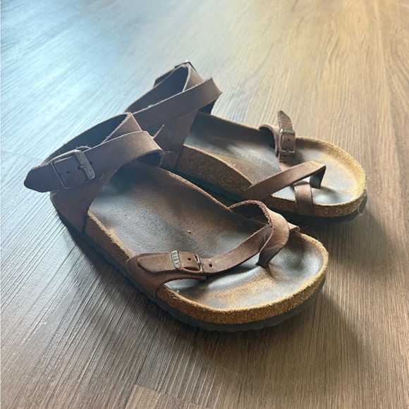 Birkenstock Shoes - Birkenstock Daloa Birkibuc Birko-Flor Sandals